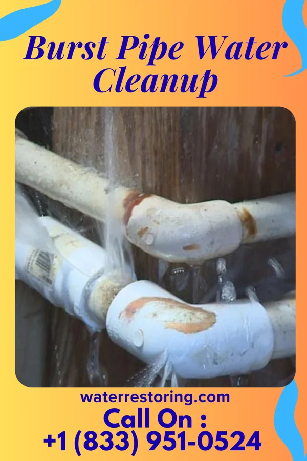 Burst Pipe Water Cleanup in Summit, OR