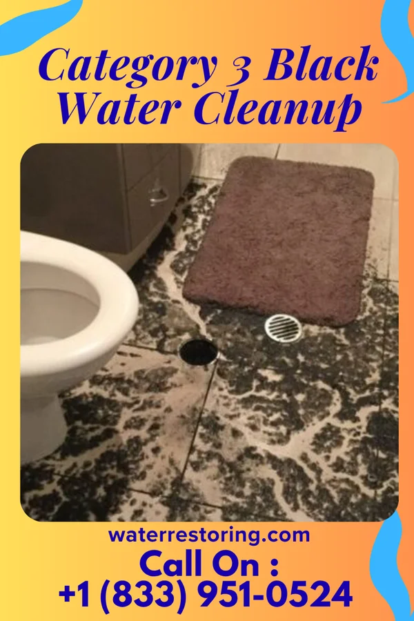 Category 3 Black Water Cleanup in Summit, OR